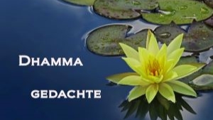 Podcast Dhamma gedachte